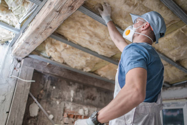 Best Insulation Maintenance and Repair in Gman, IL